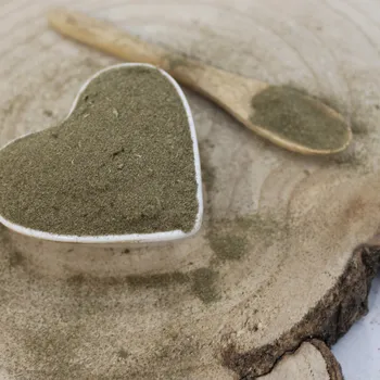 Popenec břečťanovitý - nať mletá - Glechoma hederacea - Herba hederae terrestris 250 g