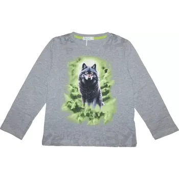 Chlapecké tričko Chlapecké tričko dl.r. Kugo DT9367 šedé