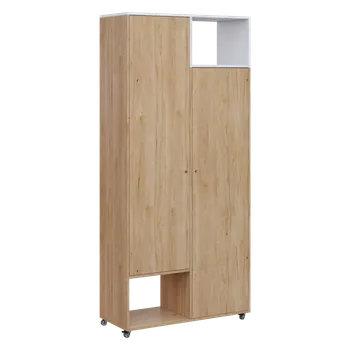 Šatní skříň AERO 62 P skříň šatní 2-dveřová/2 niky, výsuvné ramínko, pravá, 2150x1000x400, kolečka, platinově bílá/dub hickory