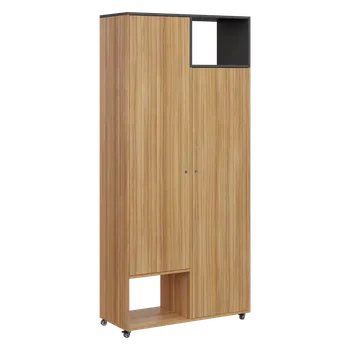 Šatní skříň AERO 62 P skříň šatní 2-dveřová/2 niky, výsuvné ramínko, pravá, 2150x1000x400, kolečka, antracit/coco bolo