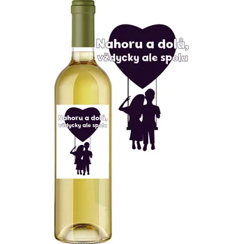 Víno Nahoru a dolů, vždycky ale spolu - z květů černého bezu 11,5% alk. | Rybízák.cz z květů černého bezu 11,5% alk.