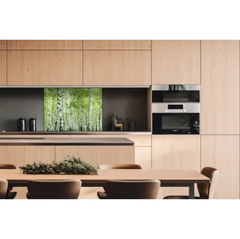 Obklad DIMEX | Dibond za kuchyňskou linku DBW-08060-193 | 80 x 60 cm | Jarní březový háj + Dibond deska za kuchyňskou linku DIMEX v rozměru 80 x 60 cm, motiv Jarní březový háj