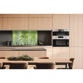 Obklad DIMEX | Dibond za kuchyňskou linku DBW-10060-193 | 100 x 60 cm | Jarní březový háj + Dibond deska za kuchyňskou linku DIMEX v rozměru 100 x 60 cm, motiv Jarní březový háj