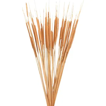 Sušený rákos kytice/svazek přírodní 50g