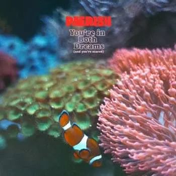 Zahraniční hudba CD Paerish: You're In Both Dreams (And You're Scared) DIGI 2023 Digipack And You're Scared