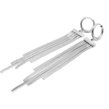 Náušnice Steel Jewelry Náušnice DLOUHÉ Chirurgická ocel NS240274 dárkové balení zdarma