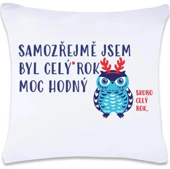 Dekorativní polštářek DOBRÝ TRIKO Vánoční polštář s potiskem Byl jsem hodný Oboustranný tisk: NE