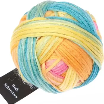 Příze Schoppel Wolle Woll-Schwestern 2641 Annegret (Merino vlna Woll-Schwestern)