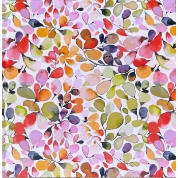 Diář Nakladatelství Patagonie Mammadiář 16 x 16 cm týdenní 2025