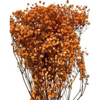 umělá květina Nevěstin závoj - Gypsophila stabilizovaná oranžová 110 g