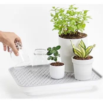 QUALY DESIGN Zavlažovací/odkapávací podnos Oasis Tray 10309