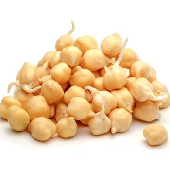 Semeno BIO Cizrna beranní - bio osivo na klíčky - 200&nbsp;g