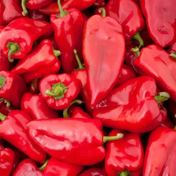 Semeno Paprika Snacking Red - Capsicum anuum - osivo papriky - 5 ks