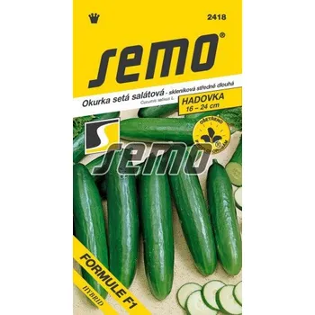 Semeno Formule salátová okurka
