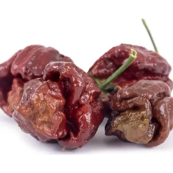 Semeno Chilli Trinidad Scorpion Moruga Chocolate - Capsicum chinense - osivo chilli - 5 ks