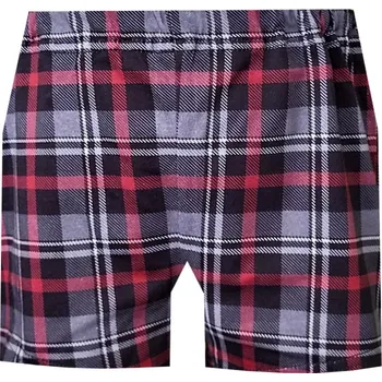 Chlapecké spodní prádlo Dětské Trenýrky FOLTÝN DT97 Velikost: 164