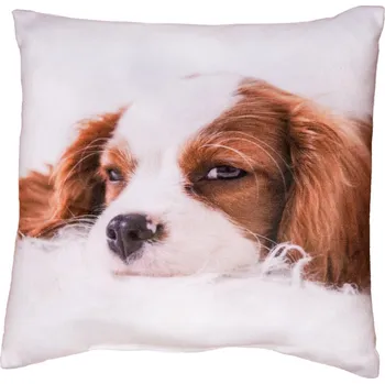 Dekorativní polštářek Dekorační polštářek Kavalír King Charles Španěl, 25x25 cm