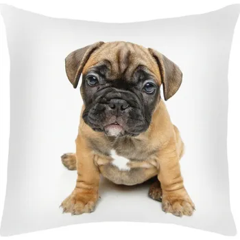 Dekorativní polštářek Dekorační polštářek Mops, 25x25 cm