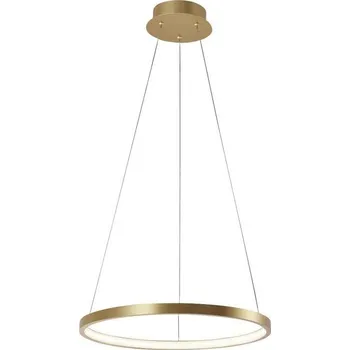 Nástěnné svítidlo Lustr Leuchten Direkt 11522-12 - LED Lustr na lanku CIRCLE LED/19W/230V
