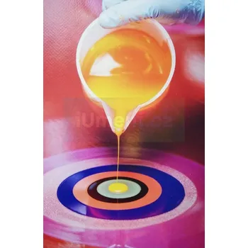 Umění Příběhy laku : Milan Houser - Tomáš Pospiszyl (ed.) + dárek