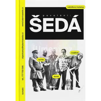 Umění povolání: ŠEDÁ - Kateřina Šedá a Yvona Ferencová + dárek Zdarma