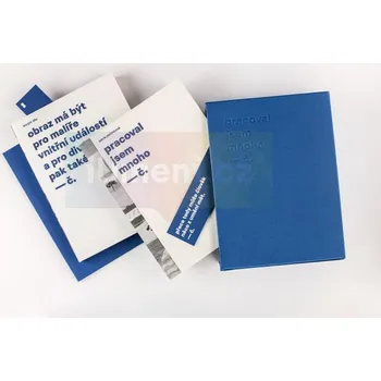 Umění Pracoval jsem mnoho : Soupis výtvarného díla Josefa Čapka (Díl třetí : Malba) - Pavla Pečinková