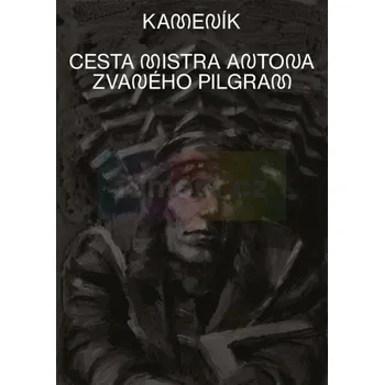 Kameník Pilgram : Komiks - text Michal Konečný, ilustrace Pavel Matyska