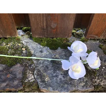 umělá květina Umělá orchidej bílá zasněžená