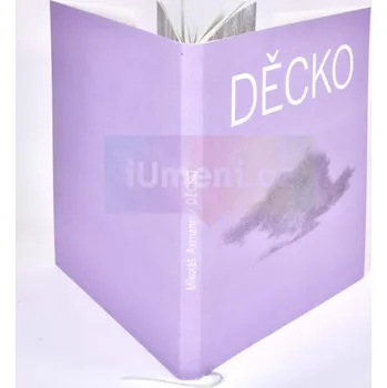 Umění Mikoláš Axmann: Děcko - Mikoláš Axmann + dárek Zdarma