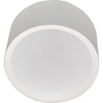 LED Stropní svítidlo PERCI LED/30W/230V IP40 4000K bílá