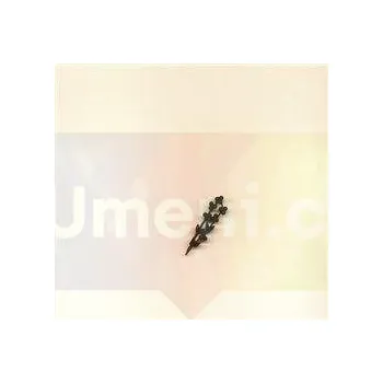 Umění Markéta Othová - Císař Karel + dárek Zdarma