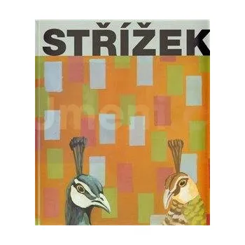 Umění Střížek - Dostál Martin + dárek Zdarma