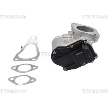 Ventil palivového systému AGR-Ventil TRISCAN 8813 25201