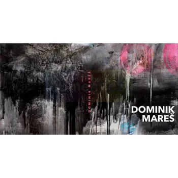 Umění Dominik Mareš : katalog k výstavě - Dominik Mareš, Patrik Šimon