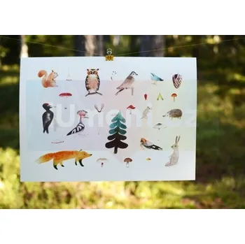 Plakát B3 - Jana Nachlingerová + dárek Zdarma