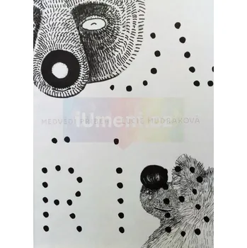 Medvědí příběh - Lucie Mudráková + dárek Zdarma