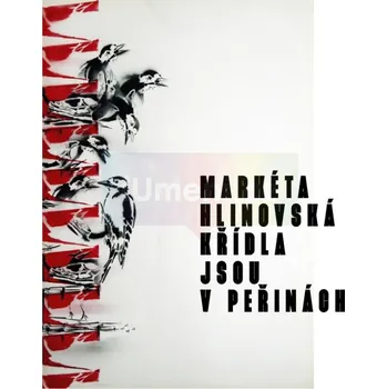 Umění Markéta Hlinovská. Křídla jsou v peřinách - Olga Malá + dárek