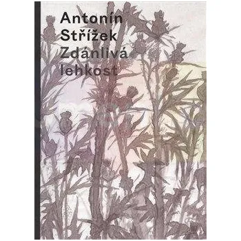 Umění Zdánlivá lehkost - Machalický Jiří (ed.) + dárek Zdarma