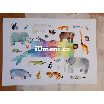 Plakát A2 - Jana Nachlingerová + dárek Zdarma