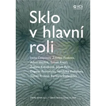 Umění Sklo v&nbsp;hlavní roli - Miroslava Ptáčková + dárek Zdarma