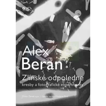 Umění Alex Beran: Zlínské odpoledne - kolektiv + dárek Zdarma