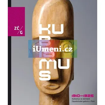Umění Kubismus 1910 : 1925 ve sbírkách Západočeské galerie v Plzni - Roman Musil