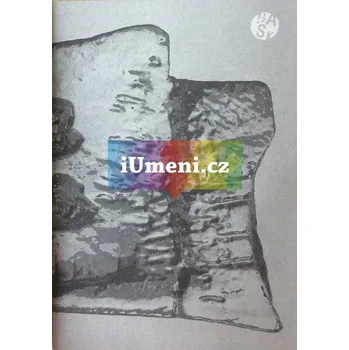 Umění Helena Lukášová & Michael Rees : Trans (forma) : The Bone Phone - Veronika Marešová