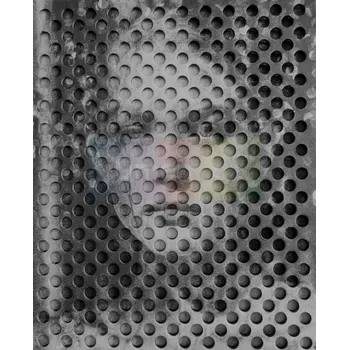 Umění Alžběta Jungrová : Já Věřím - texty Petr Josek, fotogeafie Alžběta Jungrová