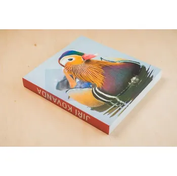 Umění Jiří Kovanda - Edith Jeřábková, Jiří Kovanda + dárek Zdarma