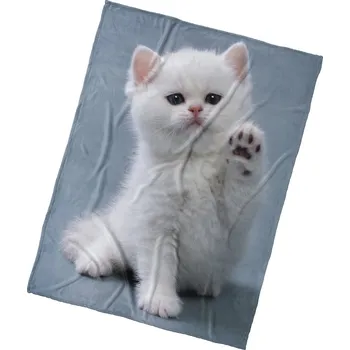 deka Mikroplyšová deka Koťátko Dej Pac 150x200 cm