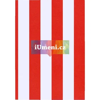 Umění Kamil Lhoták čili Útěcha z techniky - Marek Pokorný + dárek