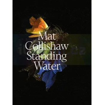 Umění Mat Collishaw. Standing Water - Petr Nedoma, Otto M. Urban