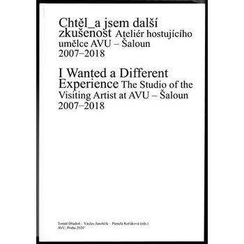 Chtěl_a jsem další zkušenost - Ateliér hostujícího umělce AVU. Šaloun 2007-2018 - Tomáš Džadoň