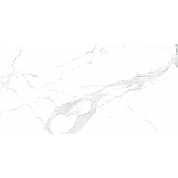 Dlažba EPICENTR K Dlažba Epicentr Avenzo silver satin rektifikovaná 60x120